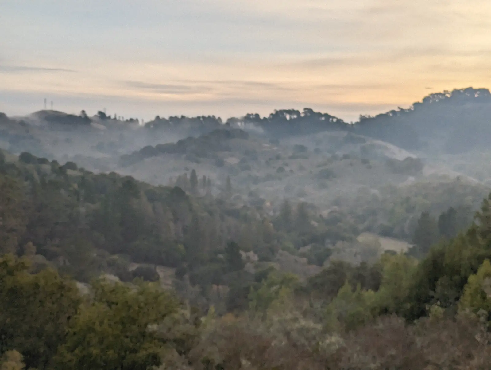 Photo of fog settling over wooded hills in Tilden Regional Park